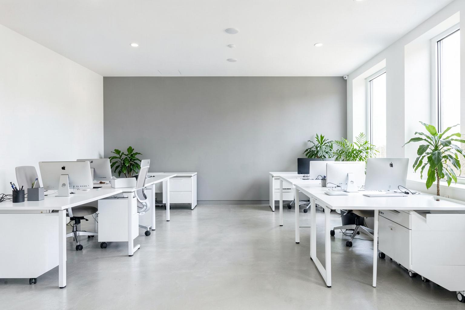 Bright freshly painted open-plan office